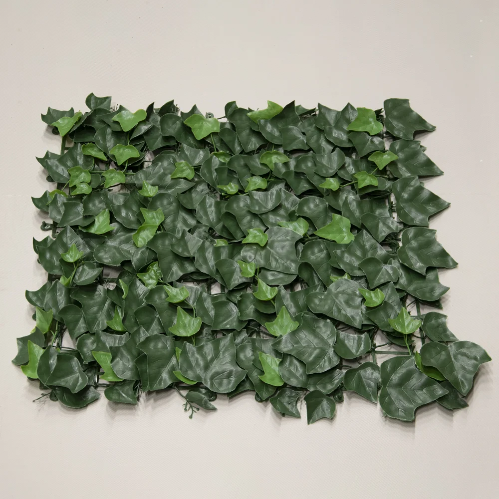 Klimop budget kunsthaag 50x50cm