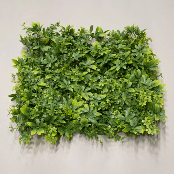 Vegetatie Schefflera kunsthaag 50x50cm