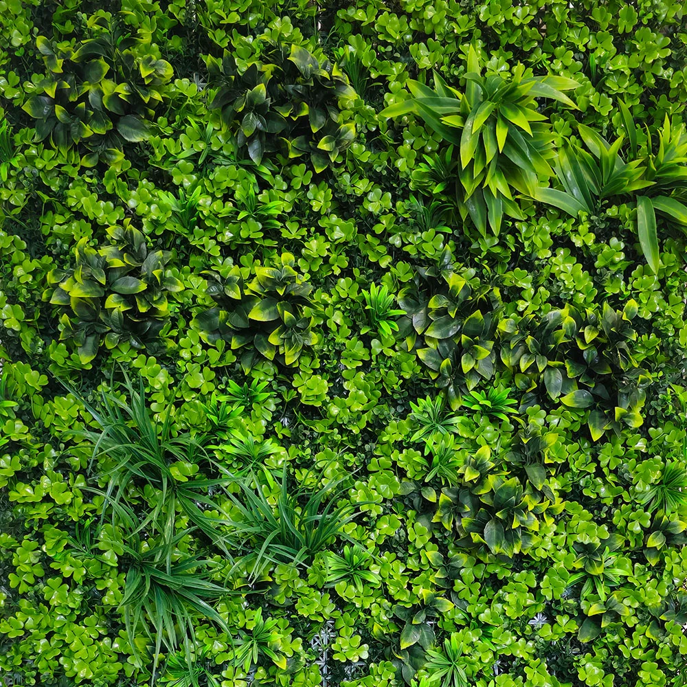 Kunsthaag Nature Medley 100x100cm - Afbeelding 3